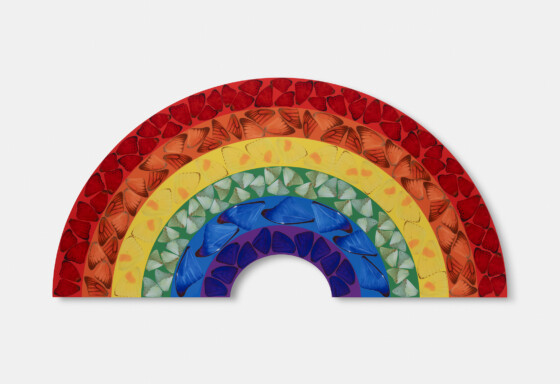 A rainbow artwork made up butterfly wings on each colour of the rainbow's bands